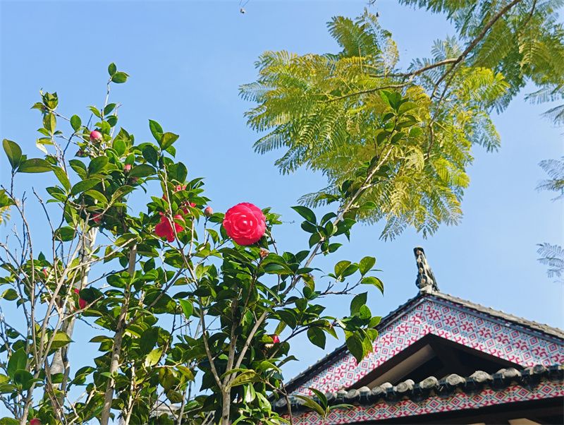 有一种叫云南的生活｜假期结束！您与屏边的故事还将继续……_http://www.mainten.cn__第7张