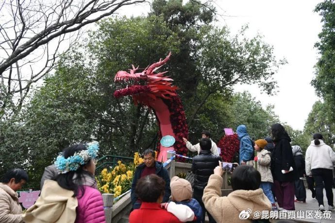 昆明市西山区发布