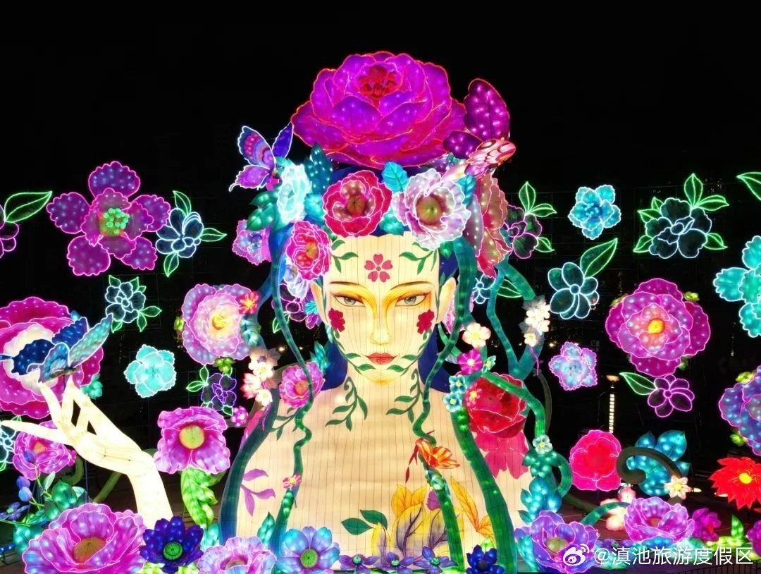 初二去哪玩丨大观公园赏花灯_http://www.mainten.cn_ycb_第1张