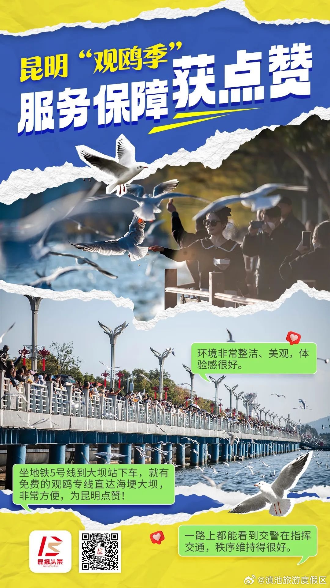 人鸥同乐 昆明“观鸥季”服务保障获点赞