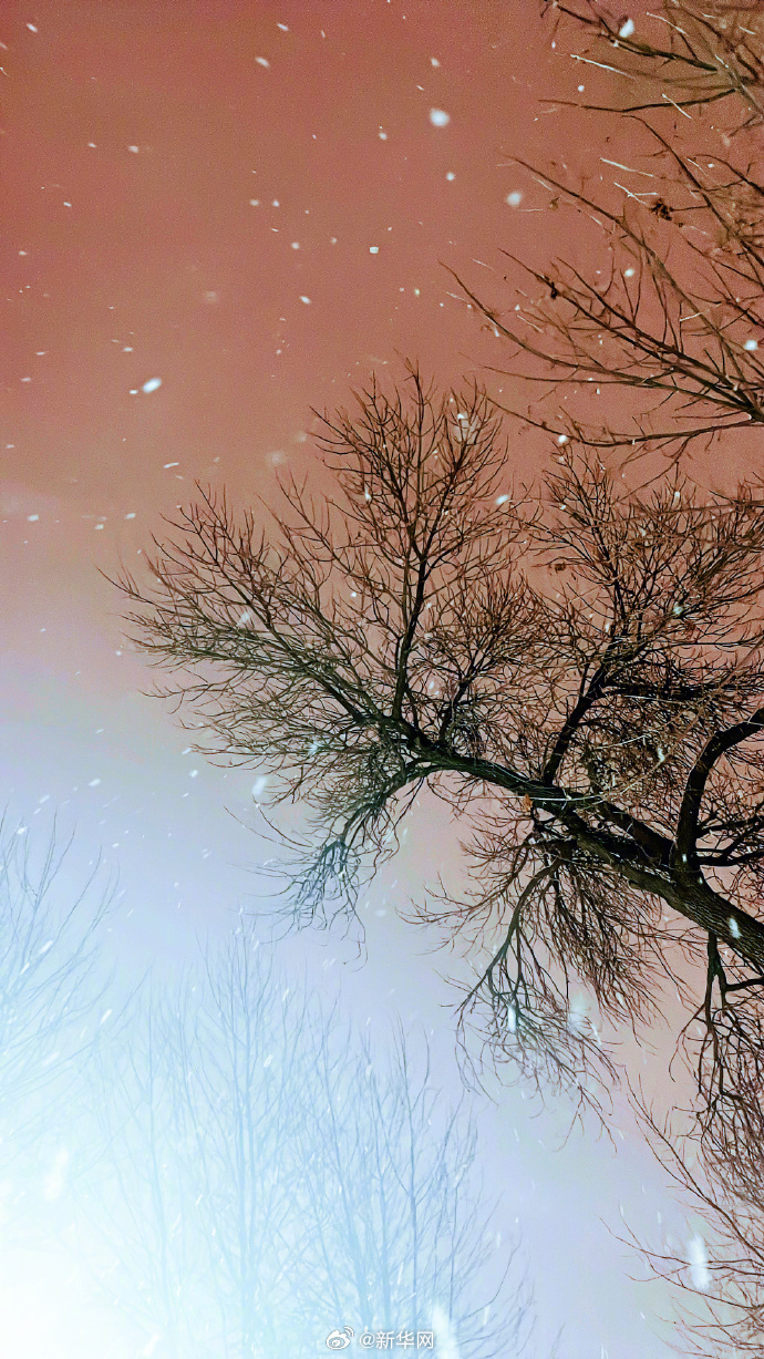 北京龙年首场降雪太美了_http://www.mainten.cn_ycb_第6张