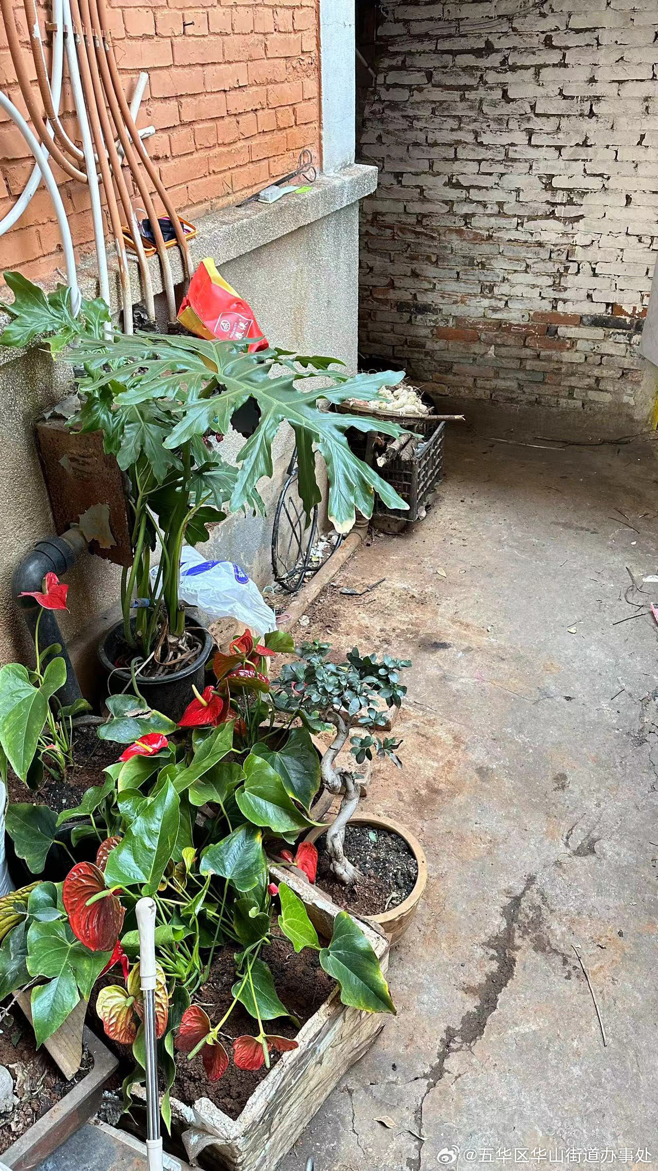 五华区华山街道办事处