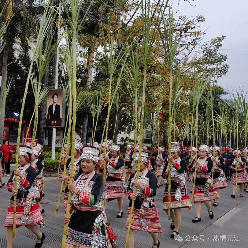 大年初一，元江街头这场精彩绝伦的巡演你看了吗？_http://www.mainten.cn_ycb_第8张