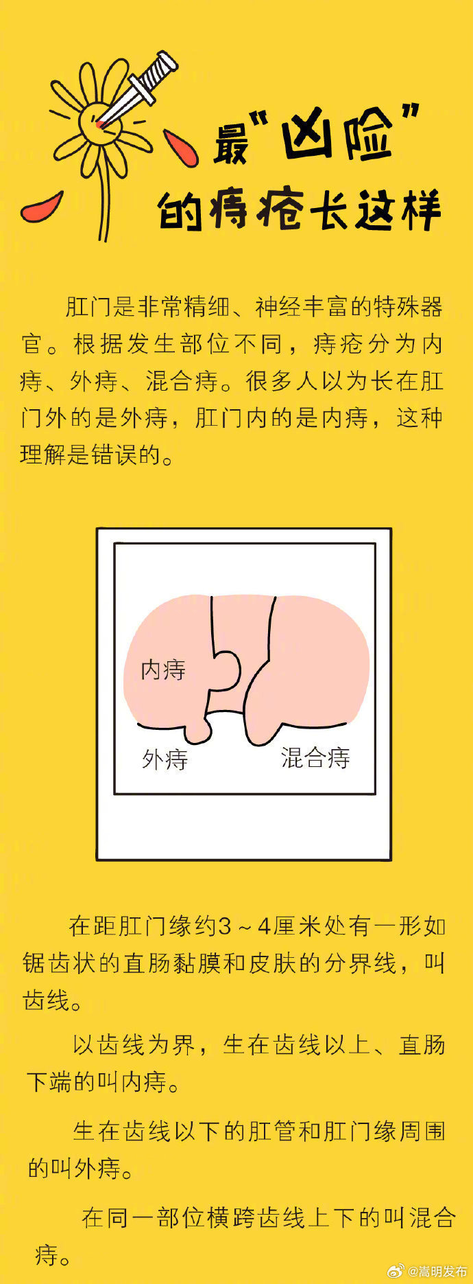 嵩明发布