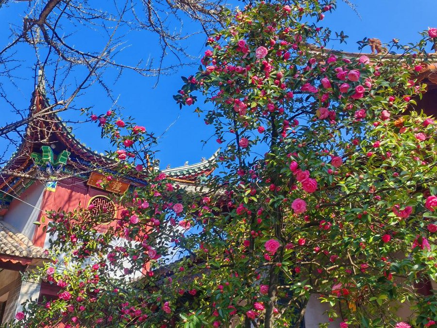 云南省文化和旅游厅