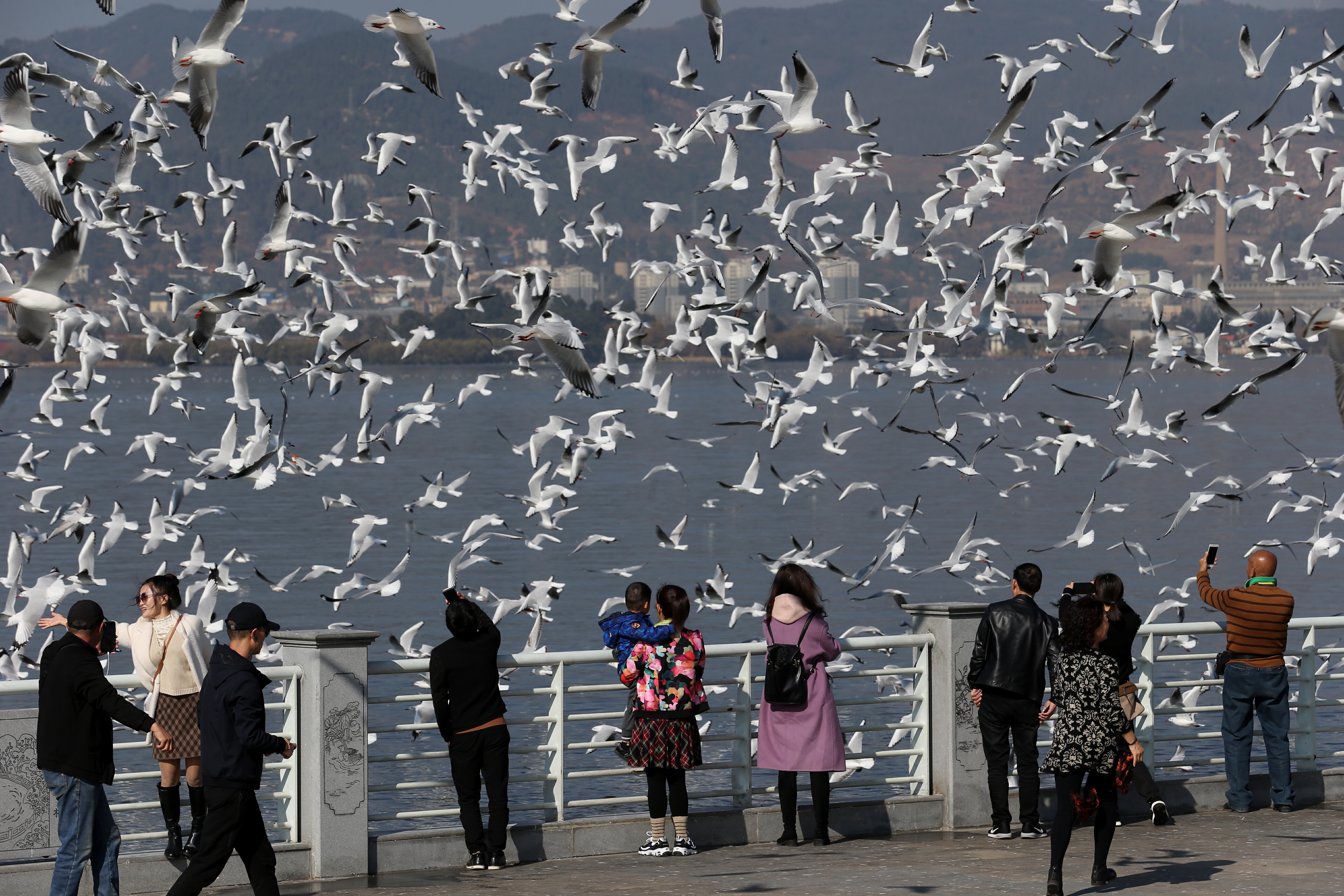 云南省文化和旅游厅