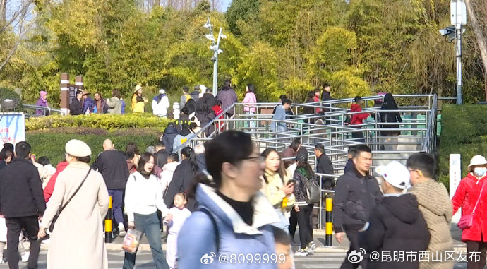 昆明市西山区发布