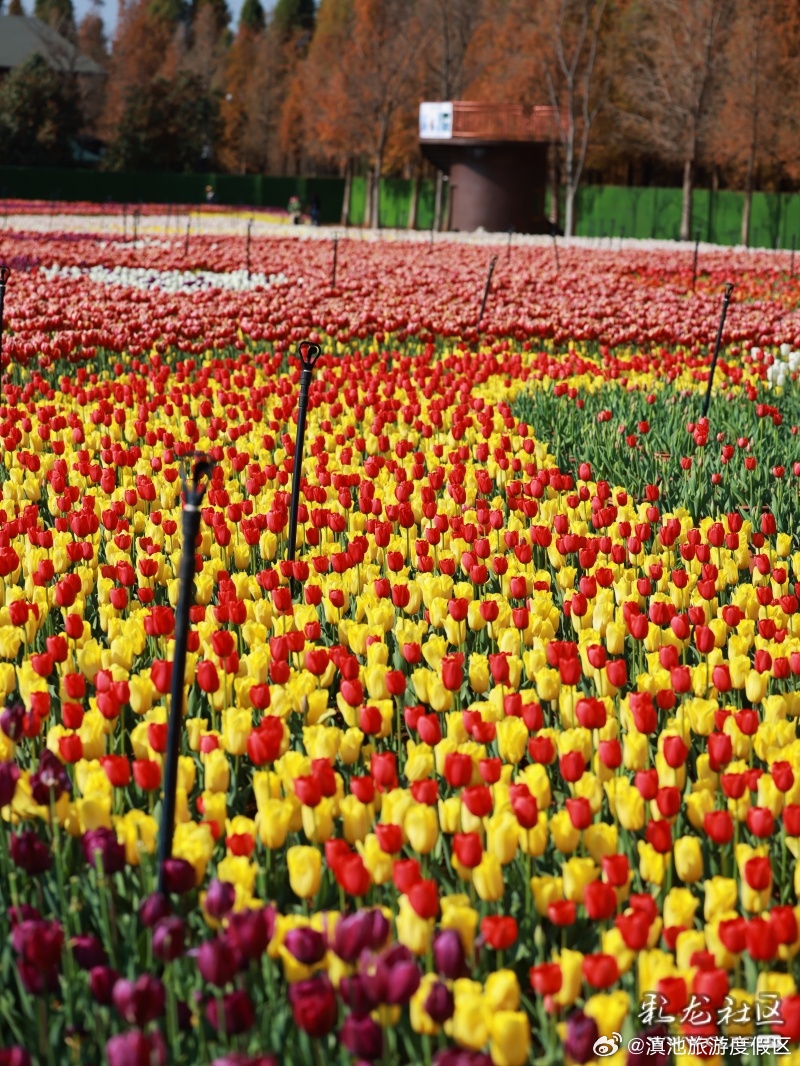 滇池旅游度假区