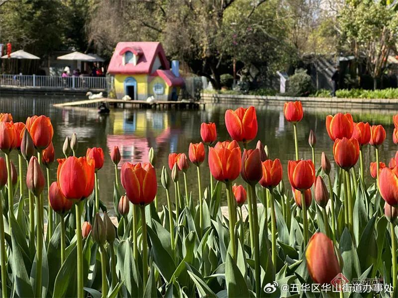 五华区华山街道办事处