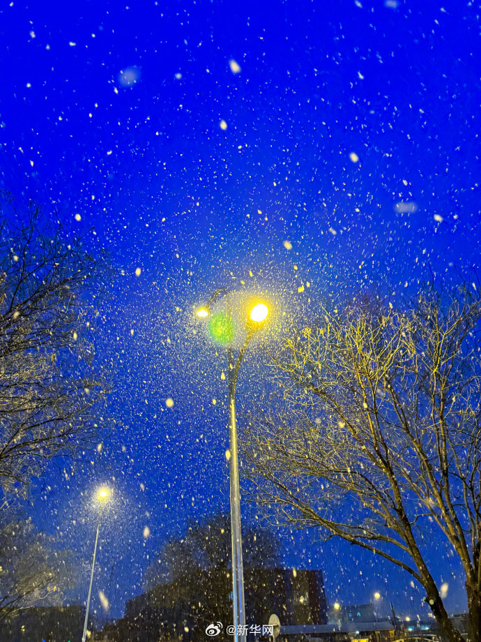 北京龙年首场降雪太美了_http://www.mainten.cn_ycb_第1张