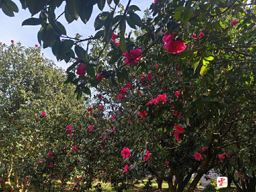 云南省文化和旅游厅