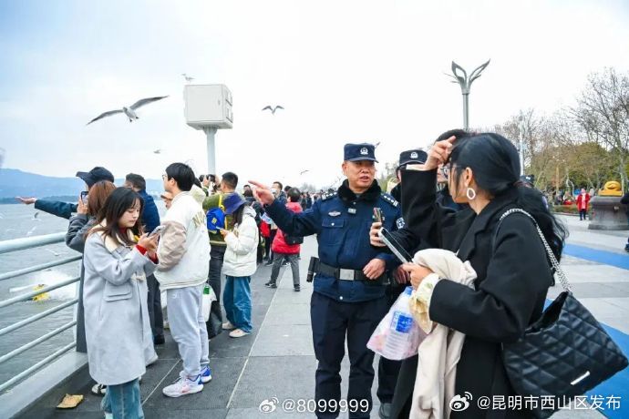 昆明市西山区发布