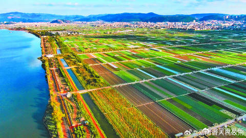 全国秋粮收购超1.4亿吨 粮食市场供应有保障