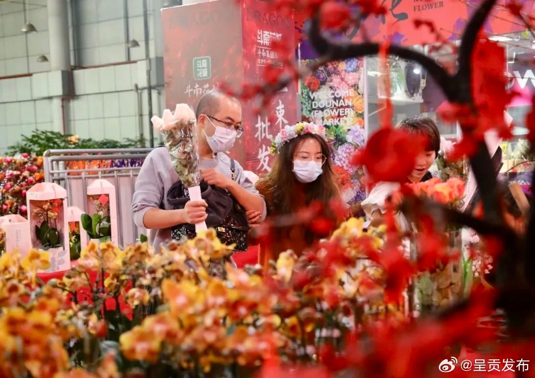 呈贡发布