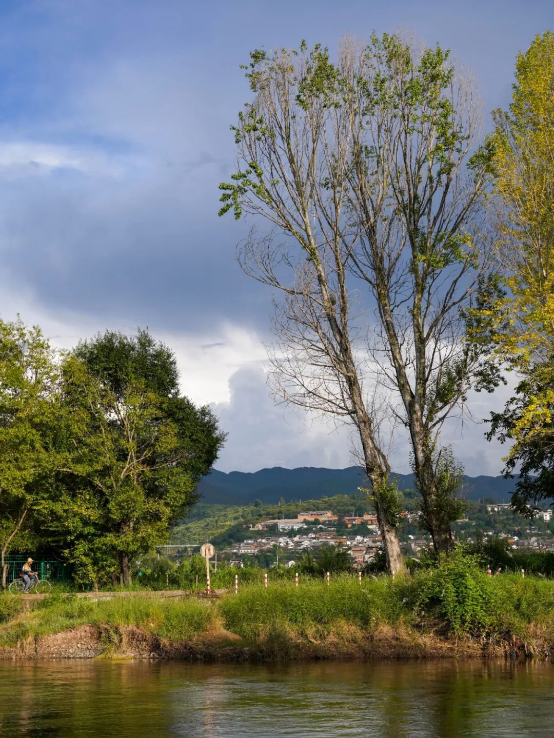 云南省文化和旅游厅