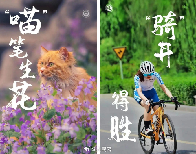 人民网