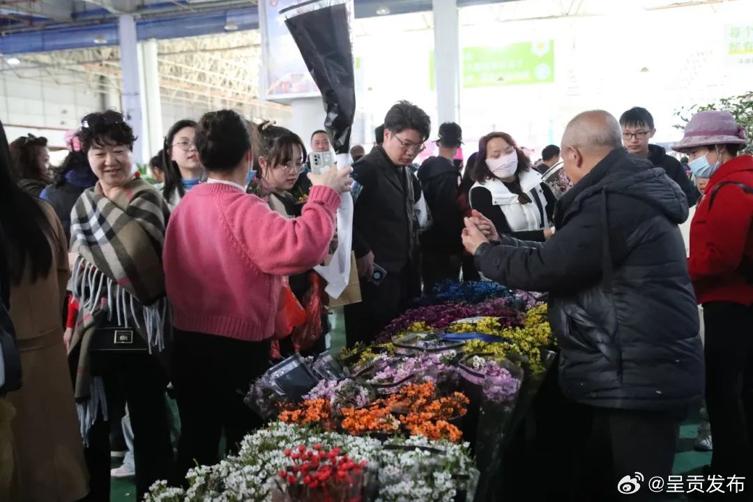 呈贡发布