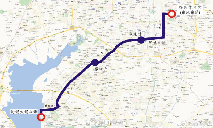 观鸥专线正常开行、多条“观光巴士畅行游”线路推出……昆明公交春节不打烊_http://www.mainten.cn_ycb_第5张