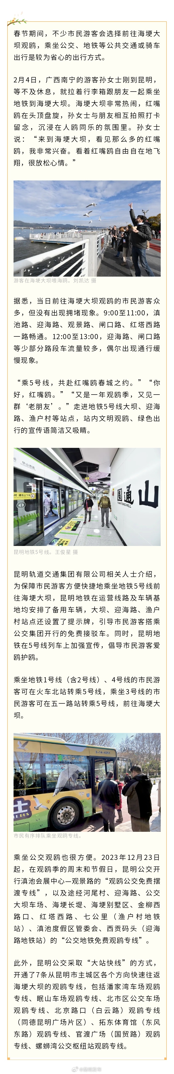 昆明公交地铁发出春节观鸥“邀请函”