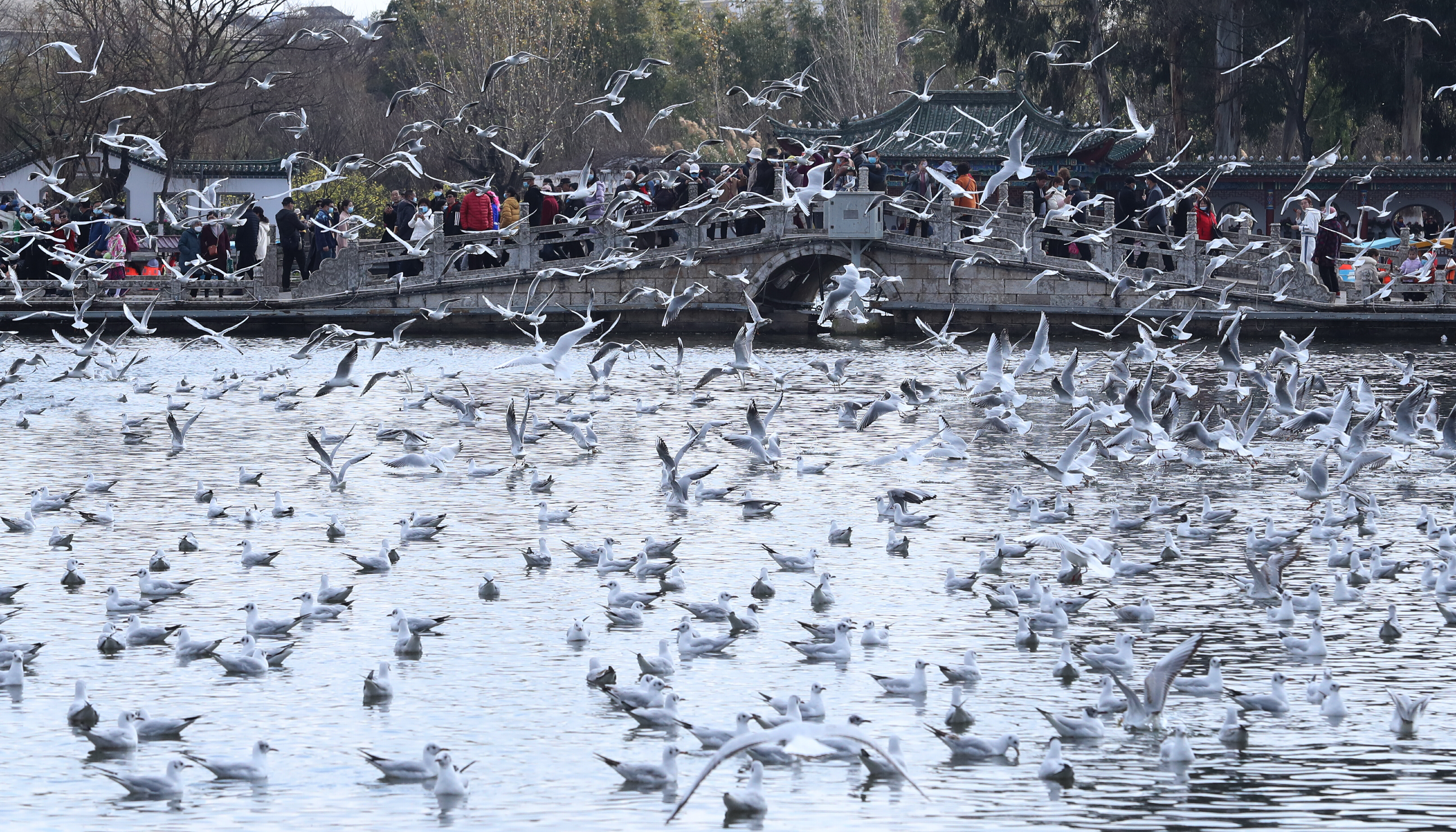 云南省文化和旅游厅