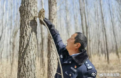 民警救助“呆萌”领角鸮[桃里桃气]_http://www.mainten.cn_ycb_第3张