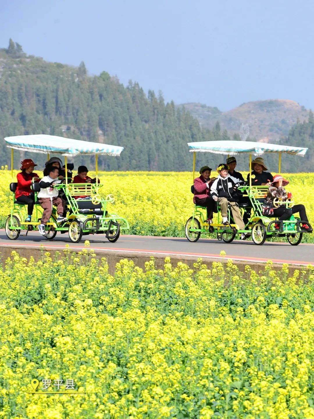 云南省文化和旅游厅