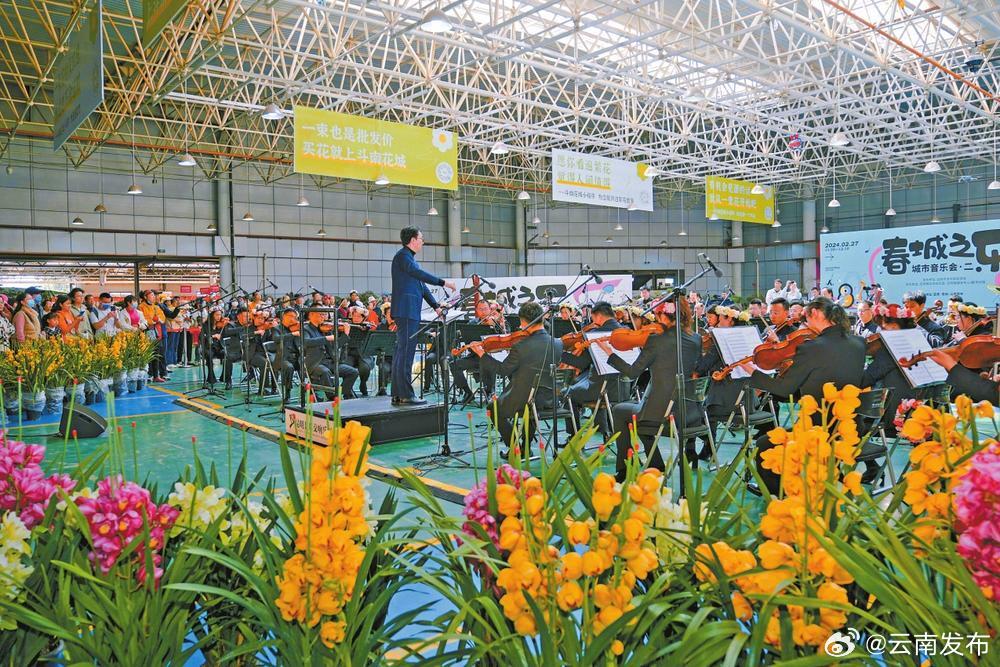 “春城之乐·城市音乐会”走进斗南
