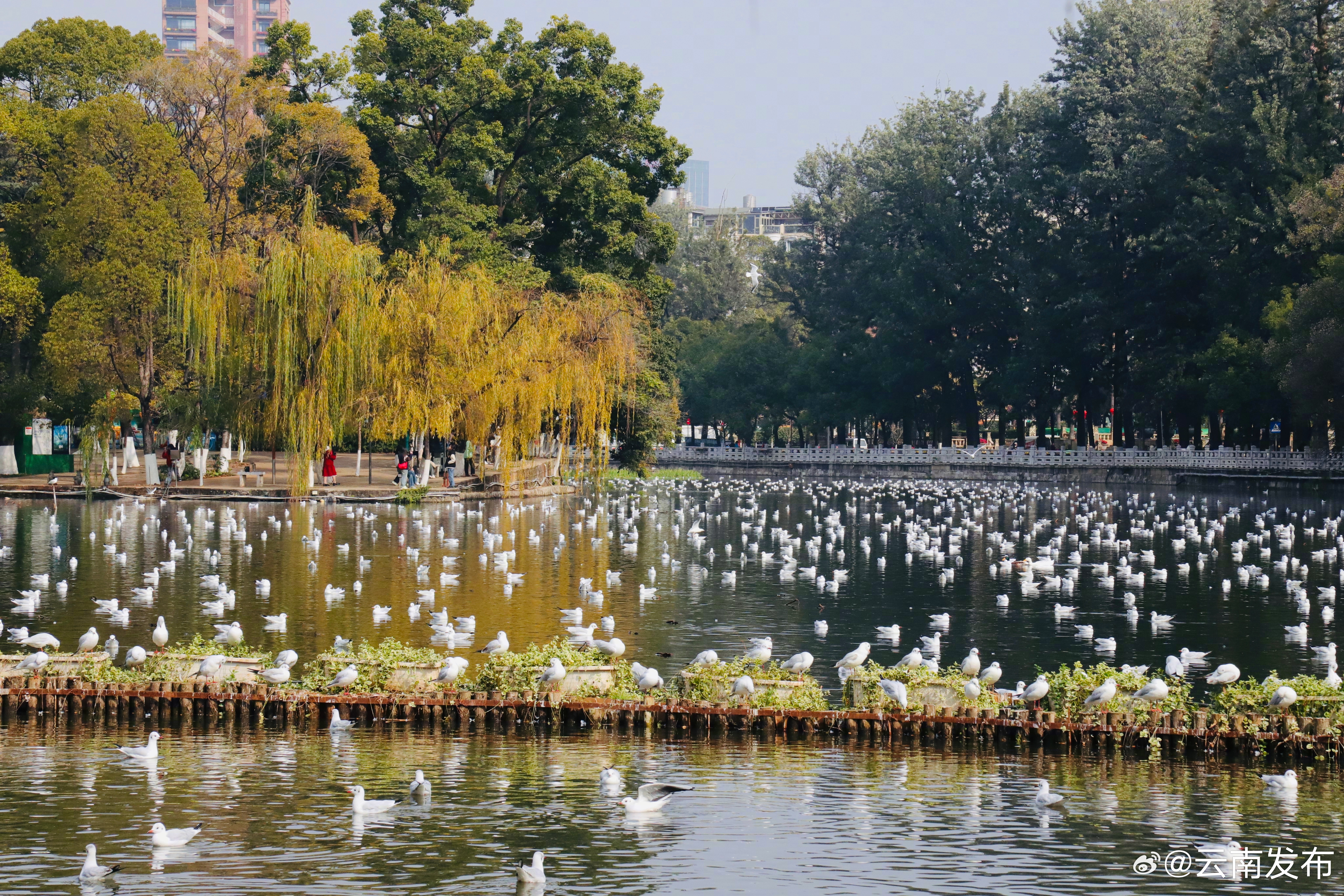 云南环境空气质量预报