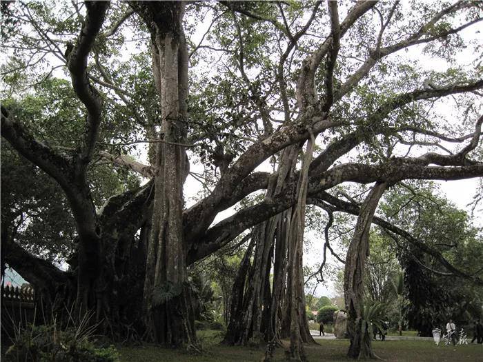 云南省文化和旅游厅
