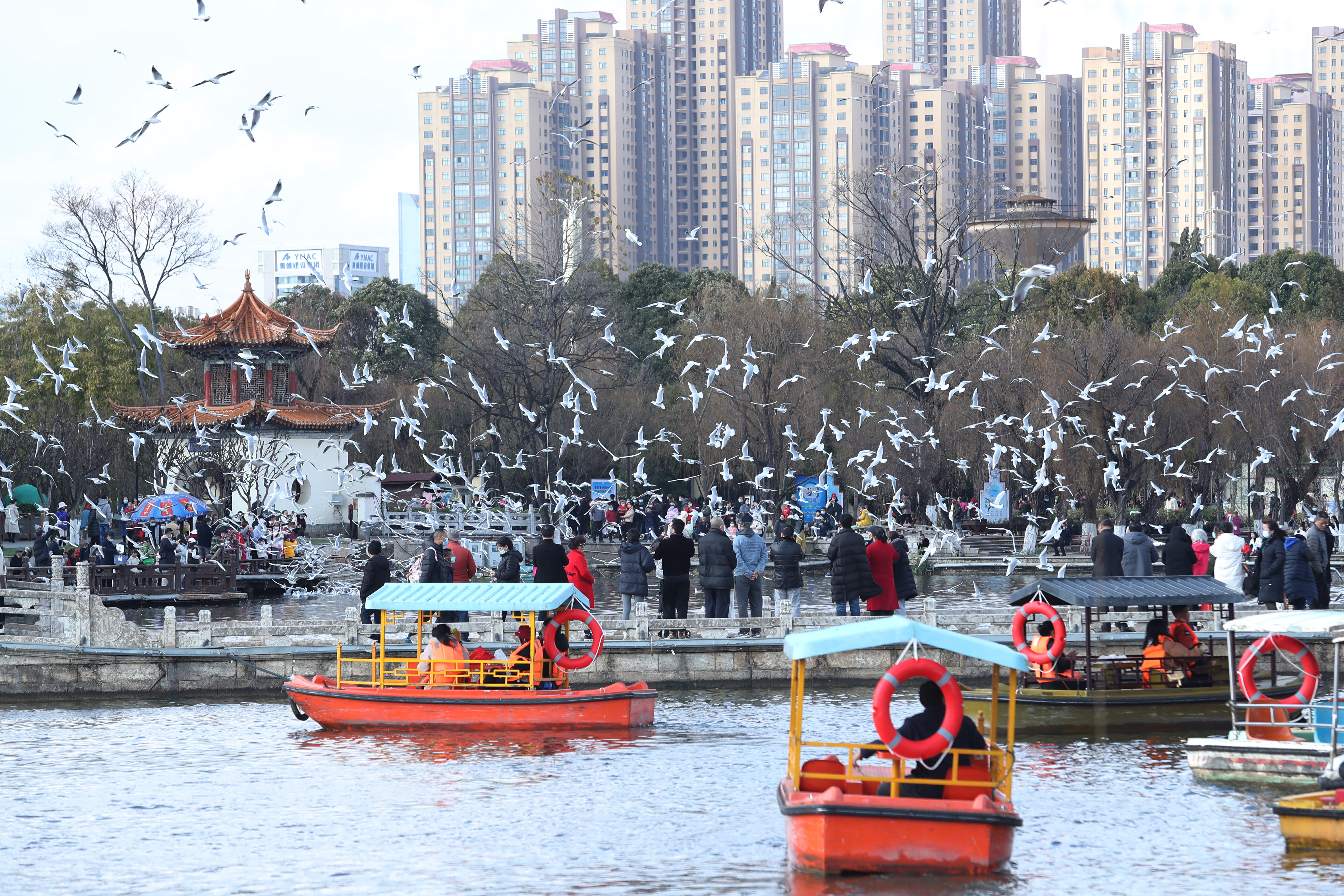 云南省文化和旅游厅