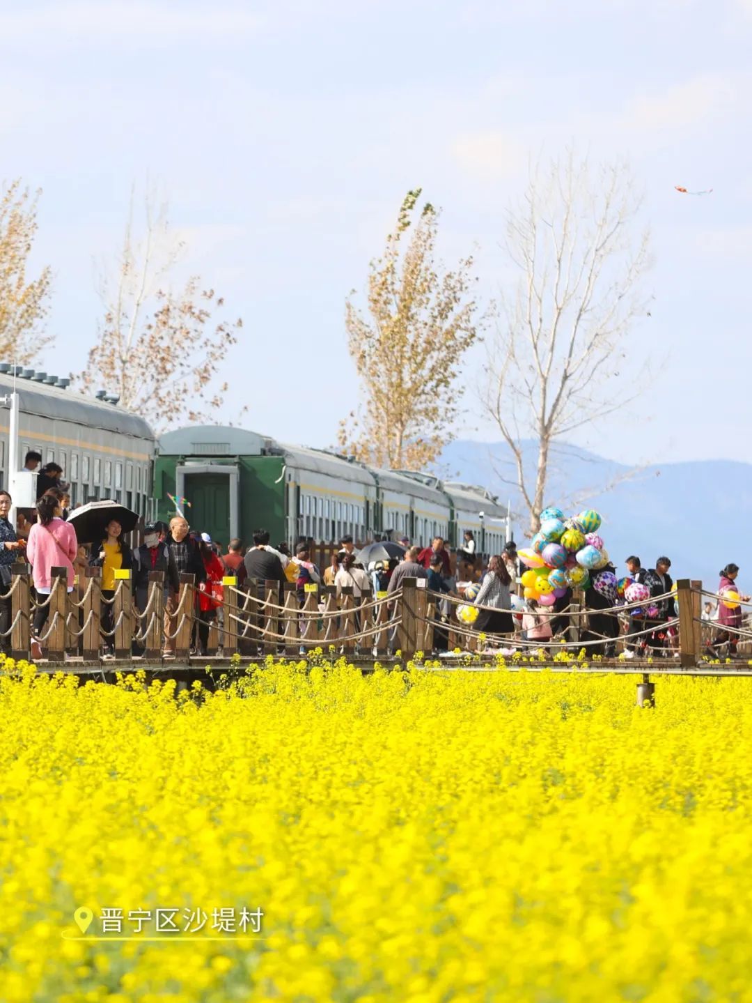 云南省文化和旅游厅
