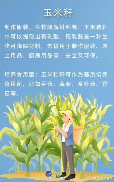 嵩明发布