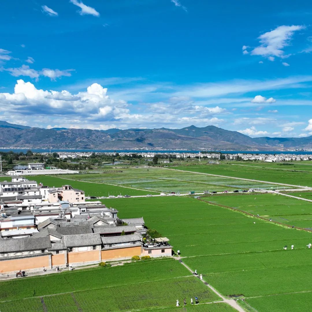 云南省文化和旅游厅