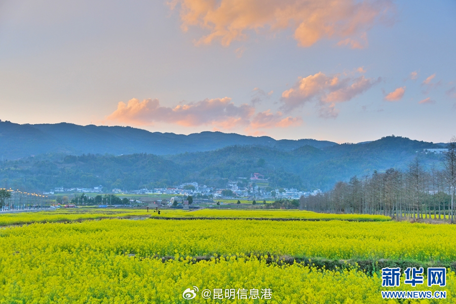 昆明信息港微博