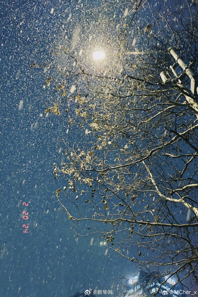 北京龙年首场降雪太美了_http://www.mainten.cn_ycb_第2张