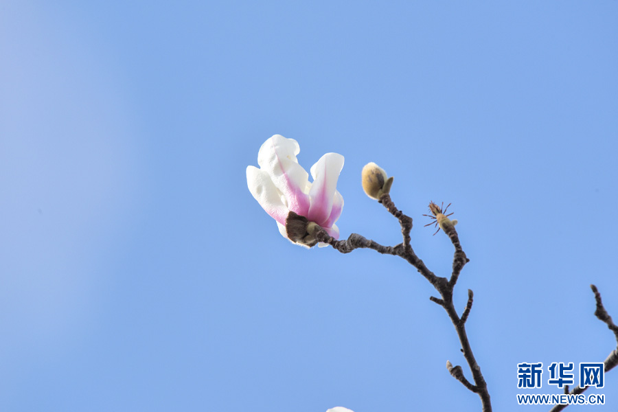 云南省文化和旅游厅