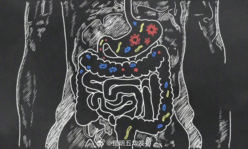克罗恩病为什么被称为绿色癌症 