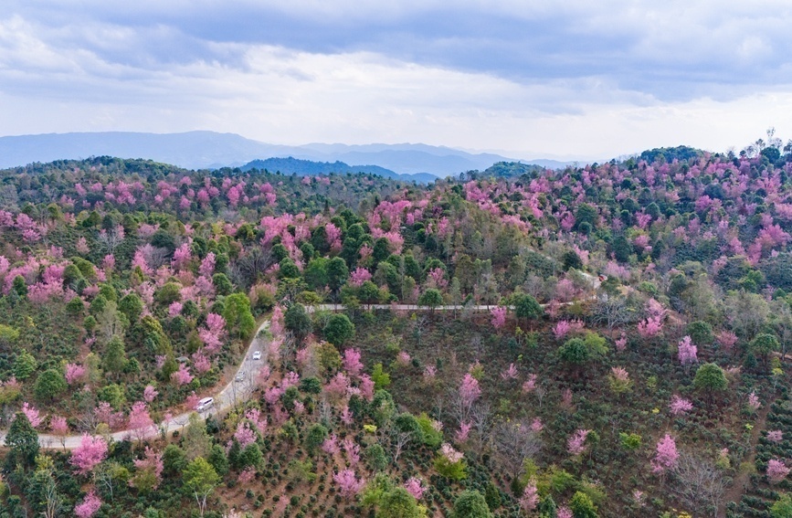 云南省文化和旅游厅