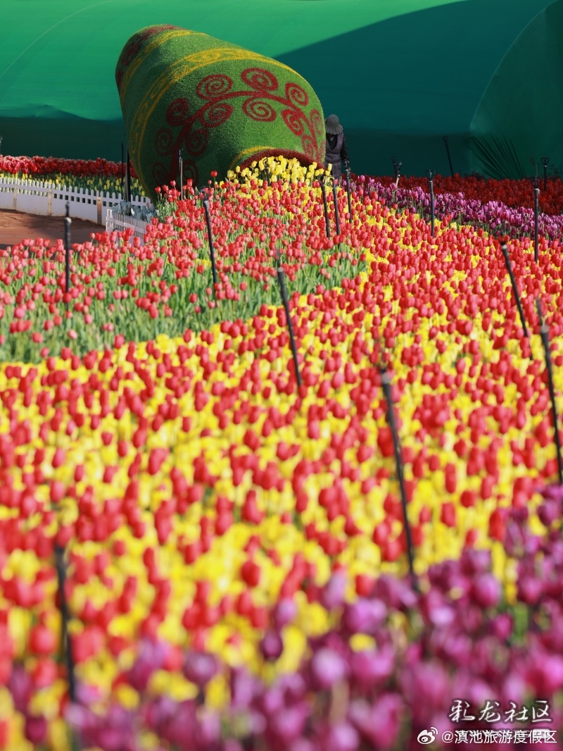 滇池旅游度假区