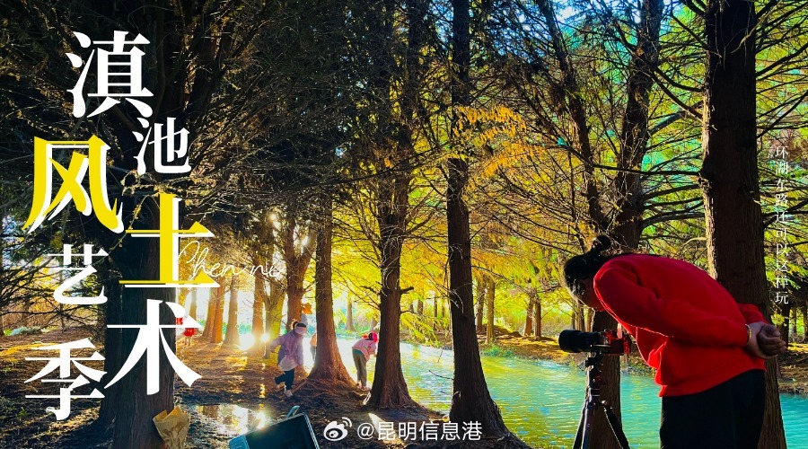 昆明信息港微博