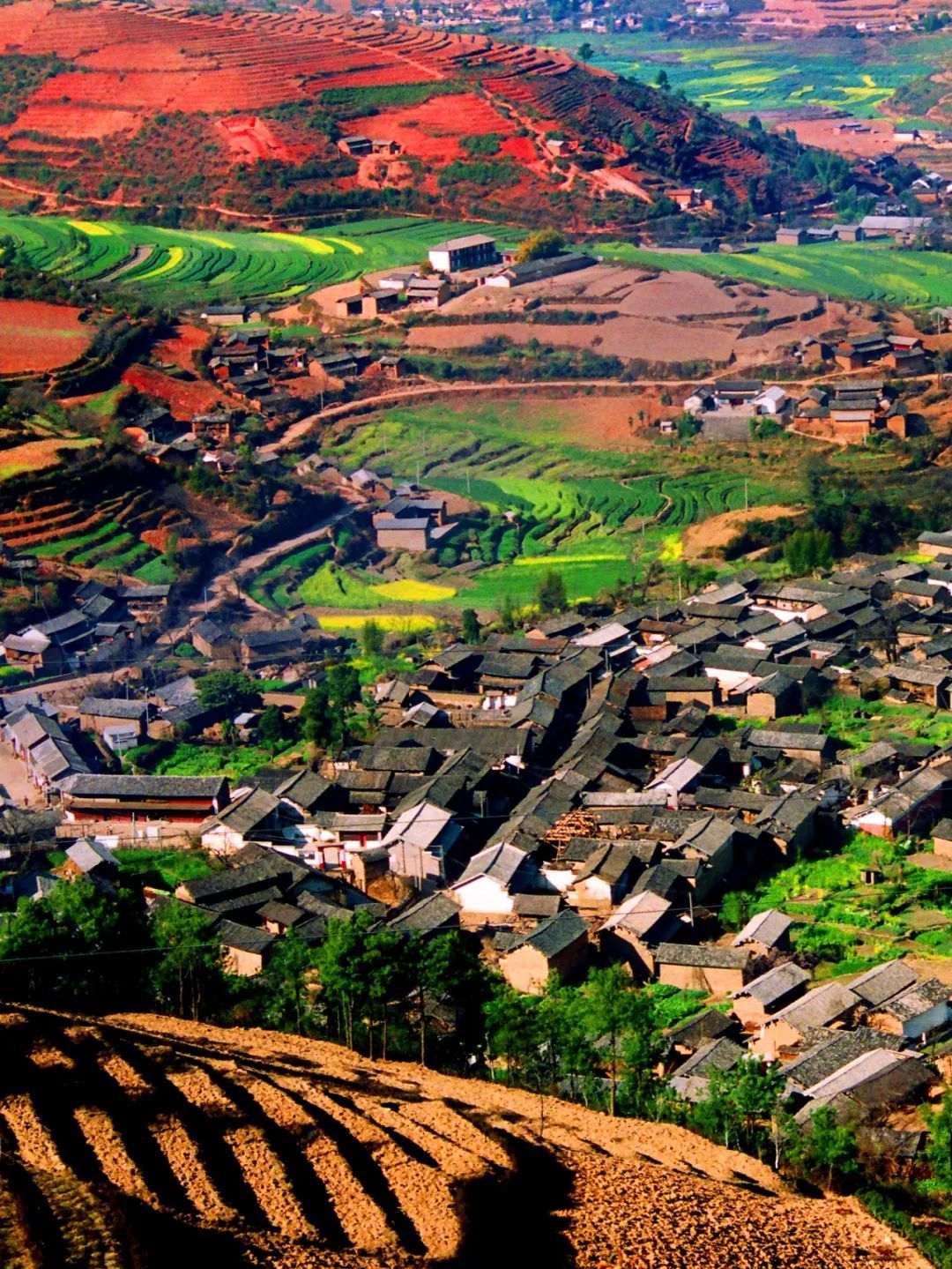 云南省文化和旅游厅