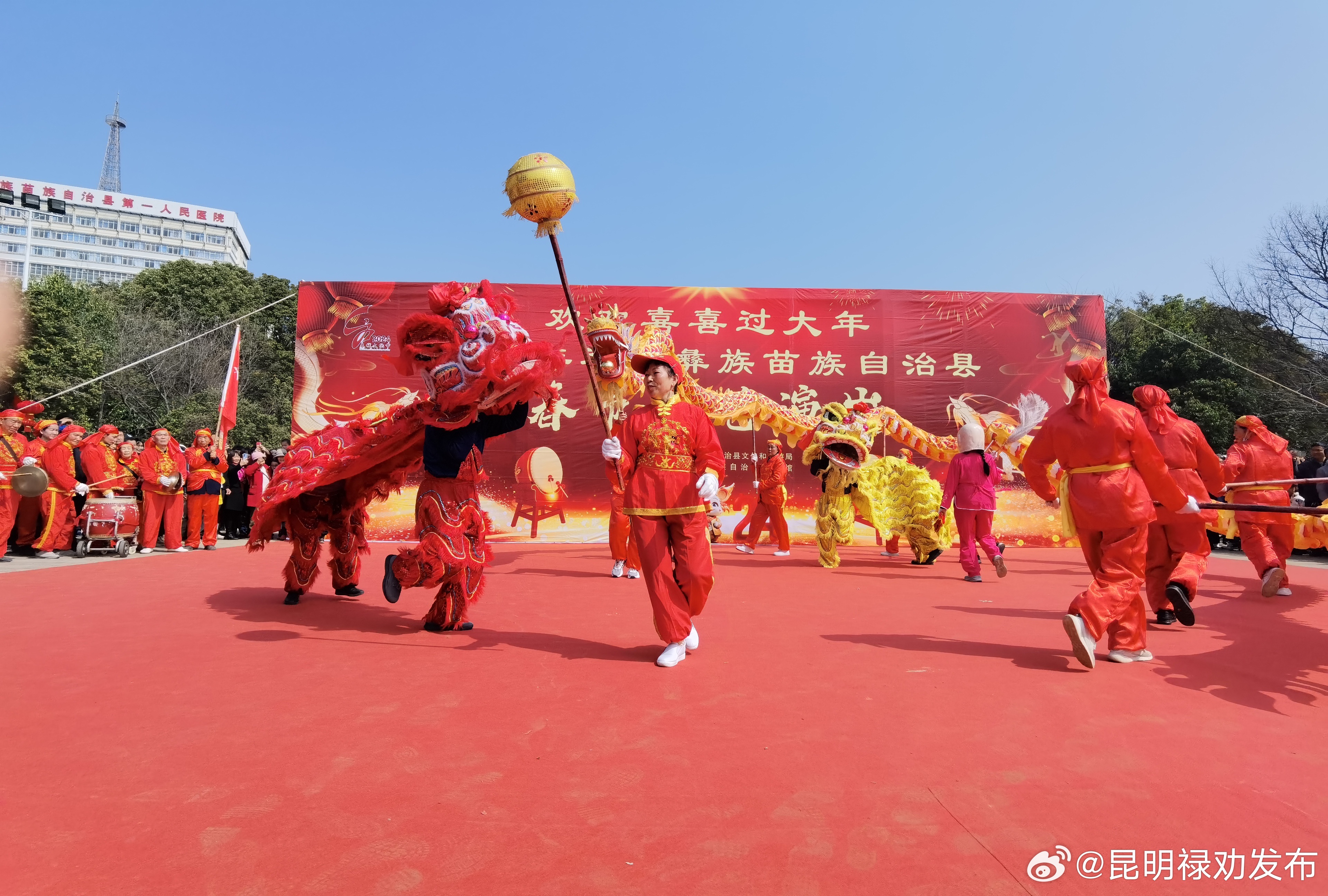 禄劝：龙狮齐舞贺新春_http://www.mainten.cn_ycb_第1张