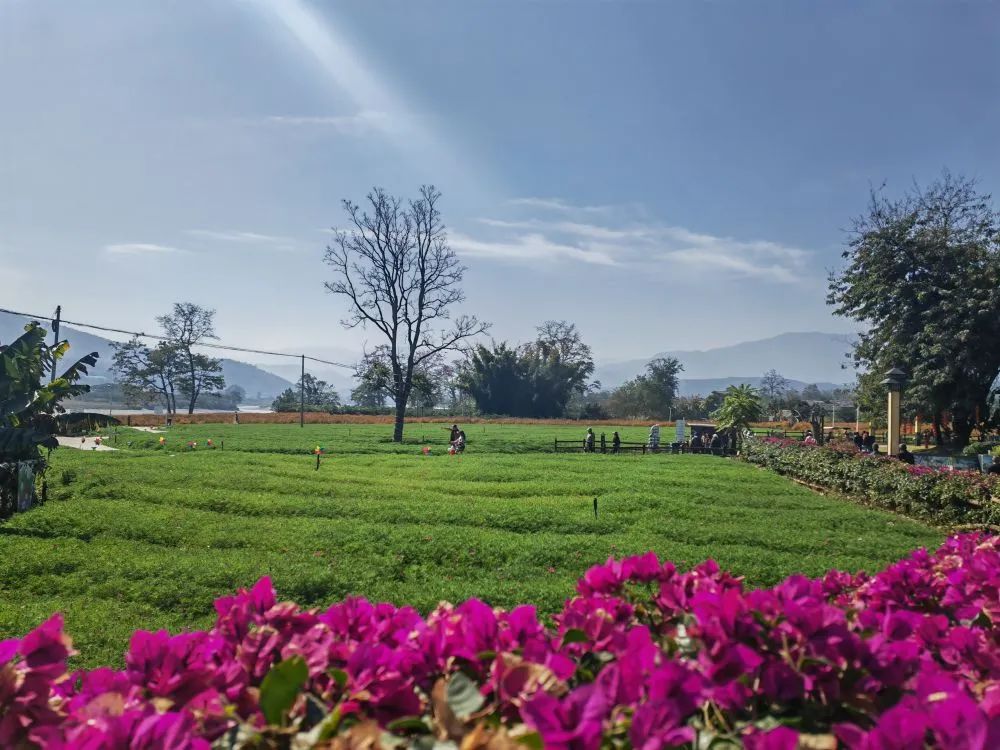 云南省文化和旅游厅