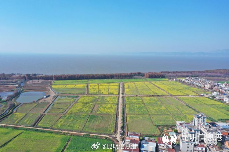 昆明信息港微博