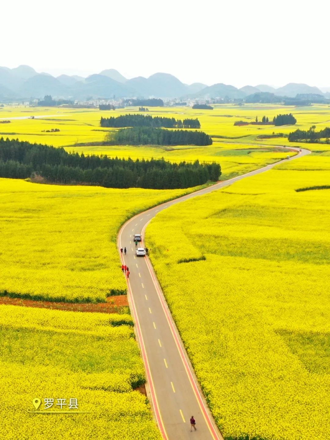 云南省文化和旅游厅