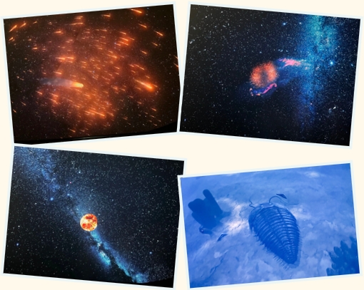 云南省文化和旅游厅