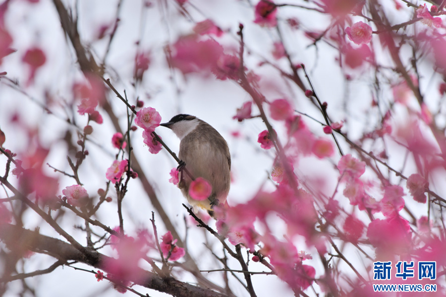 云南省文化和旅游厅