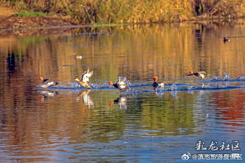 滇池旅游度假区