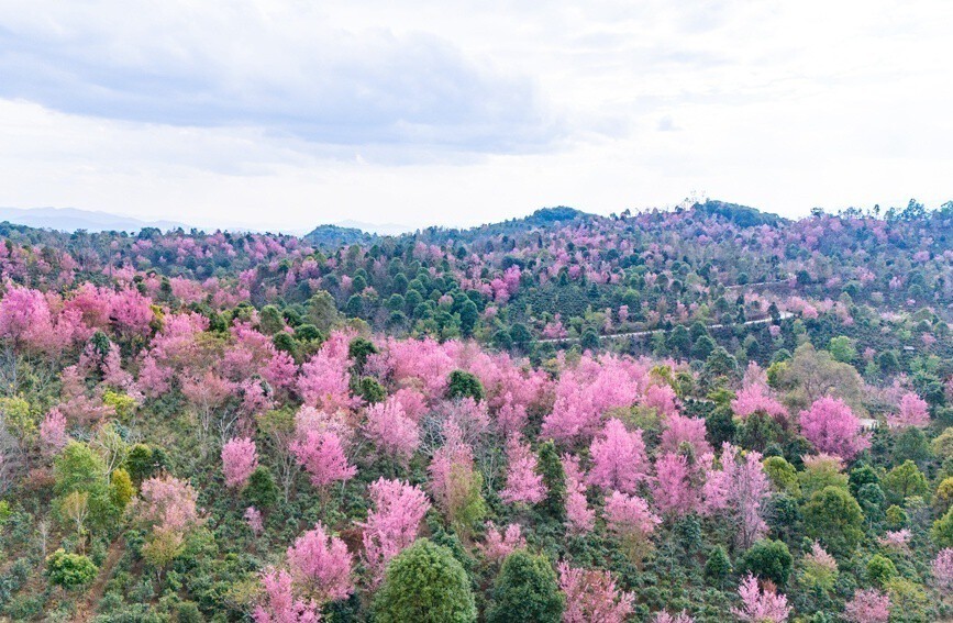 云南省文化和旅游厅