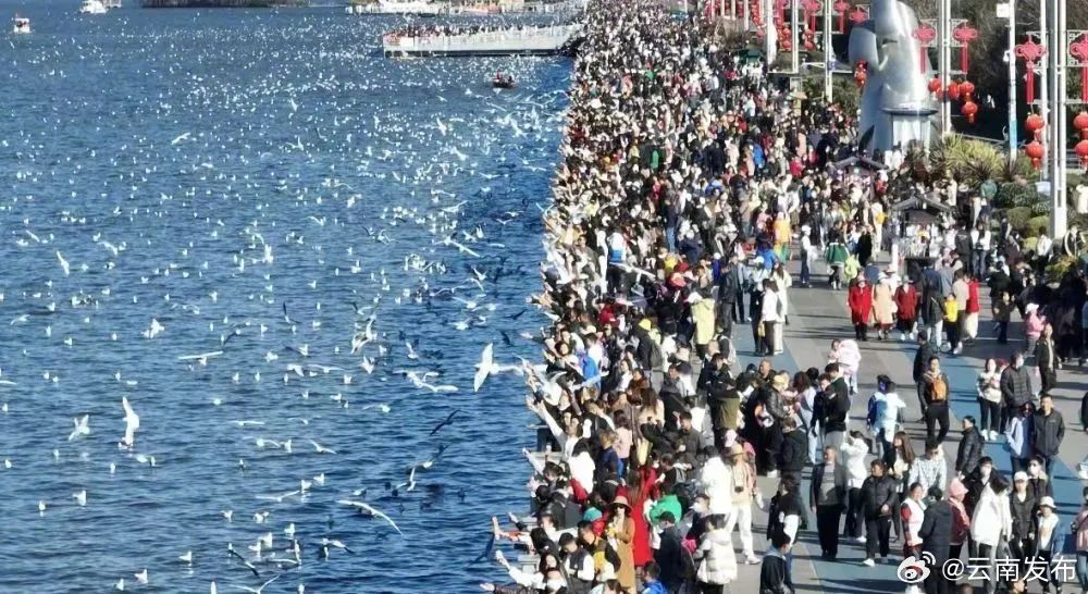 春节假期云南旅游总收入超637亿元